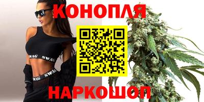 прущие грибы Малгобек
