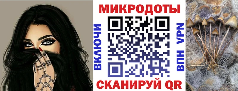 Псилоцибиновые грибы Psilocybine cubensis  Переславль-Залесский 