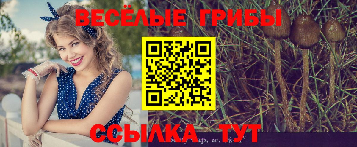 Галлюциногенные грибы MAGIC MUSHROOMS Переславль-Залесский